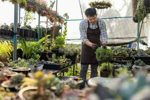 asiatisch Gärtner ist Arbeiten Innerhalb das Gewächshaus voll von saftig Pflanzen Sammlung während sich ausbreitend durch Blatt Schneiden Methode zum Zier Garten und Freizeit Hobby foto