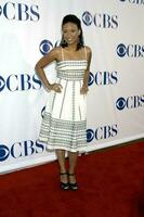 Tracie thoms cbs tca Sommer- Drücken Sie Tour Party wadsworth Theater westwood ca. Juli 19 2007 2007 Kathy Hutchins Hutchins Foto