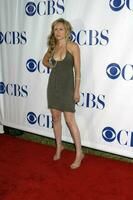 Sarah Fuhrmann cbs tca Sommer- Drücken Sie Tour Party wadsworth Theater westwood ca. Juli 19 2007 2007 Kathy Hutchins Hutchins Foto