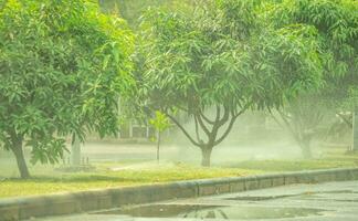 automatisch Rasen Sprinkler Bewässerung Grün Gras auf sonnig Sommer- Tage. Sprinkler mit automatisch System. Garten Bewässerung System Bewässerung Rasen. Sprinkler Bedienung und Wartung. Welt Umgebung Tag. foto