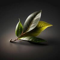 Grün Tee Blatt. generativ ai foto