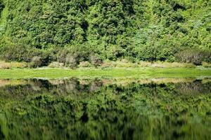 Oma etang im Wiedervereinigung Insel foto