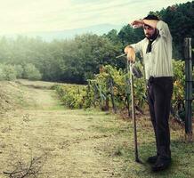 Farmer im das Weinberg foto