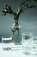 ein Glas Vase mit ein Grün Pflanze und zwei Brille von Wasser auf ein Weiß Tisch. foto