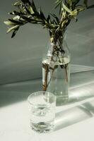 ein Glas Vase mit ein Grün Pflanze und Glas von Wasser auf ein Weiß Tisch. foto