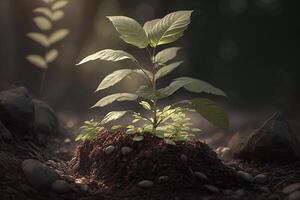 Pflanze wachsend im Bauernhof Boden oder Wald mit Sonnenlicht beim Tageszeit. jung Pflanze ist wachsend. Welt Erde Tag. Welt Umgebung Tag. Erde Erhaltung, Ökologie oder global Erwärmen durch ai generiert foto