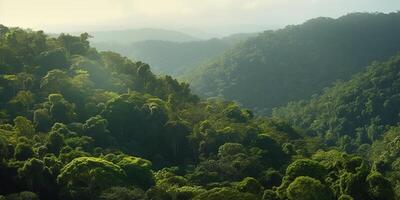 Antenne Aussicht von neblig Regenwald auf ein sonnig Tag mit hoch aufragend Bäume ai generiert foto
