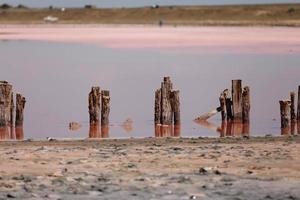 Ein fantastischer rosa Salzsee mit Salzkristallen auf Holzsäulen an einem sonnigen Tag foto