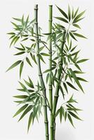 isoliert Bambus Pflanze auf Weiß Hintergrund ein Symbol von Reinheit, Stärke, und Flexibilität ai generiert foto