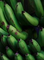 schließen oben Aussicht von Grün Banane oder musa Akuminata foto