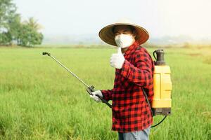 asiatisch Farmer ist Sprühen organisch Dünger beim Paddy Feld. Daumen hoch. Konzept mit freundlich Produkt mit Umgebung Landwirtschaft mit Nein Chemikalien verwenden. Sicherheit mit Benutzer und Umfeld. foto