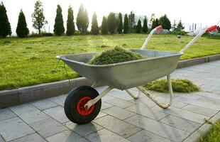 ein Schubkarre voll von Gras benutzt zu Transport das Gras. Schubkarre im das Garten. Gartenarbeit. foto