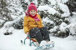 glücklich Kind im Winter. ein Junge im hell Kleider sitzt im ein Schlitten im das Schnee. foto