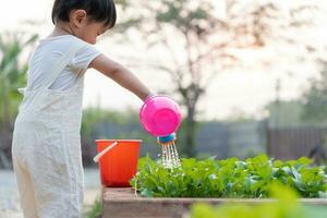 organisch Landwirtschaft beim heim, organisch Gemüse Bauernhof. Kinder Bewässerung organisch Gemüse . nicht giftig Gemüse wachsen natürlich. Gewächshaus Garten, ökologisch biologisch, gesund, Vegetarier, Ökologie foto