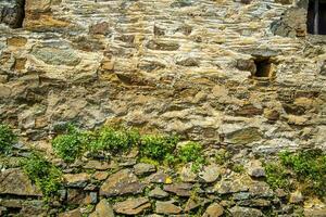 Pflanzen Pflanzen im behalten Wände. Gartenarbeit im ein trocken Stein Mauer. foto