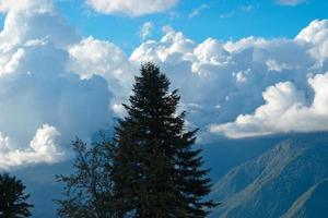 der Wald und die Bäume im Hintergrund Berge und bewölkter Himmel foto