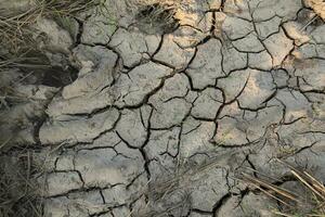 Hintergrund von trocken Land beim das Reis Feld während trocken Jahreszeit. Dürre Land. Klima Veränderung Konzept. foto