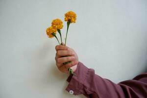 Hand, die eine gelbe Blume hält foto