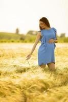 schwangere Frau, die Hand im Weizenfeld läuft