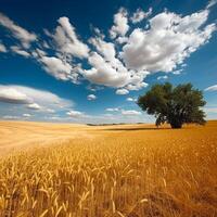 golden Weizen Feld auf das Hintergrund von heiß Sommer- Sonne und Blau Himmel mit Weiß Wolken.Boden Straße Verlassen zu das Horizont. schön Sommer- Landschaft. ai generativ foto