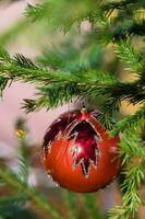 rot Glas Ball mit Blatt Bild auf Weihnachten Baum foto