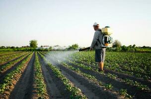 Farmer Sprays Pestizide auf Plantage. verwenden von Chemikalien zum Schutz von Pflanzen von Insekten und Pilz- Infektionen. Bauernhof Arbeit auf Feld. Landwirtschaft und Agro Industrie. Pestizide und Fungizide. foto