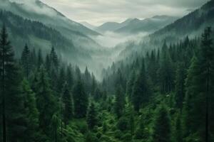 ai generiert Berg Wald mit hoch Bäume myst und Nebel grimmig Hintergrund foto