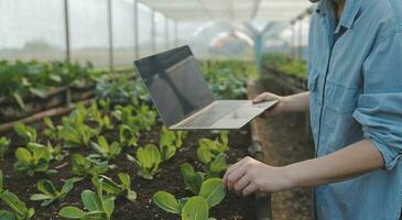 asiatisch Frau Farmer mit Digital Tablette im Gemüse Garten beim Gewächshaus, Geschäft Landwirtschaft Technologie Konzept, Qualität Clever Bauer. foto