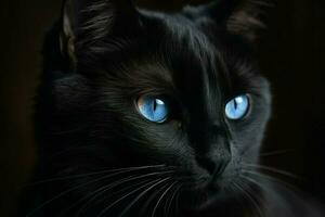 schwarz Katze Blau Augen Tier. generieren ai foto
