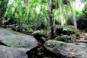 Pha Luang Wasserfall Waldpark, Amphoe Si Mueang Mai, Ubon Ratchathani, Thailand foto