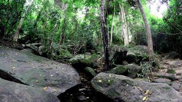 Pha Luang Wasserfall Waldpark, Amphoe Si Mueang Mai, Ubon Ratchathani, Thailand foto