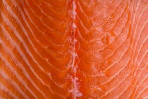 frisch roh Lachs rot Fisch Filet mit Salz- und Gewürze foto