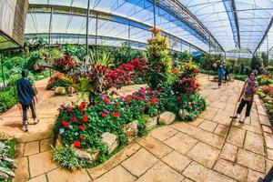 Botanischer Garten in Doi Ang Khang, Chiang Mai, Thailand foto