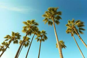 tropisch Palme Bäume Aussicht Blau Himmel. generieren ai foto