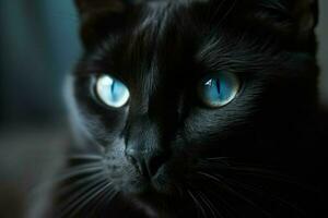 schwarz süß Katze Blau Augen. generieren ai foto
