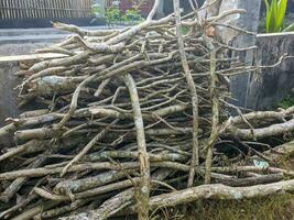 ein Stapel von Stücke von Holz Geäst foto