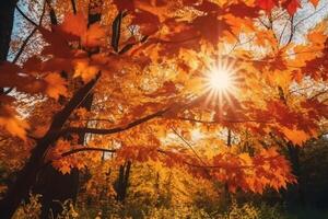 Herbst Blumen- Panorama- Hintergrund. bunt Gelb und rot Ahorn Laub auf ein sonnig Tag heilig Licht. herbstlich Park. ai generativ foto