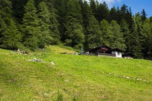 Berghütte und Wald foto