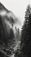 Berg Wald mit Nebel und Nebel. ai generativ foto