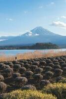 montieren Fuji von kawaguchiko See im Yamanashi, Japan. See Aussicht mit Fuji Berg Hintergrund. foto