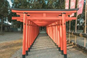 Tunnel von Torri Tor im japanisch Schrein foto