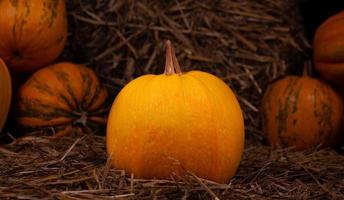 großer orange frischer Kürbis auf Heu foto