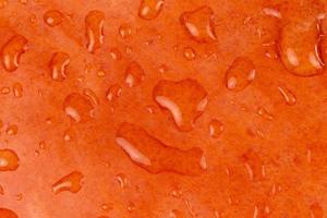 Nahaufnahme abstrakter strukturierter Hintergrund eines nassen orange Kürbises foto