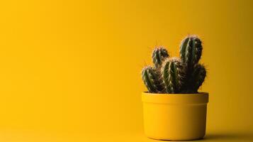 Kaktus im Gelb Topf auf Gelb Hintergrund mit Kopieren Raum. minimal style.ai generativ foto