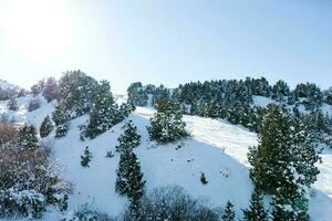 Tian Shan Berg System im Usbekistan. Winter Landschaft im das Ski Resort Beldersay foto