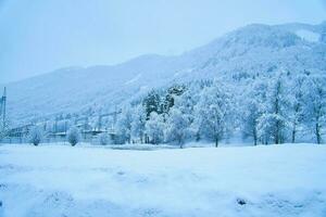 Winter Landschaft im Skandinavien. mit Schnee bedeckt Bäume auf ein Berg. Landschaft foto