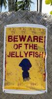Zeichen Warnung von giftig Qualle auf ein Strand in der Nähe von el Nido foto