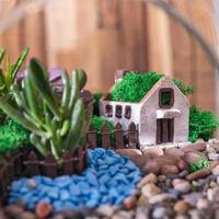 Terrarium Pflanzen Dekor nach Hause hautnah foto