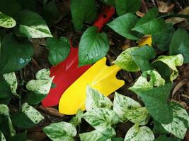 Boden Löffel und bunt zum Garten Arbeiter foto