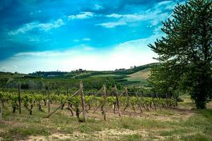 schön Weinberge im Costigliole d'asti, im das Piemontesisch langhe auf ein Frühling Tag im 2023 foto
